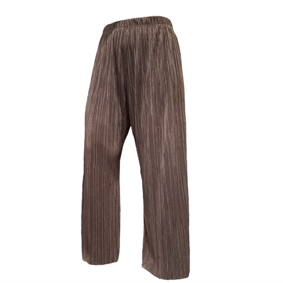 NWOT Pleated Plisse Pants - Picture 2 of 12